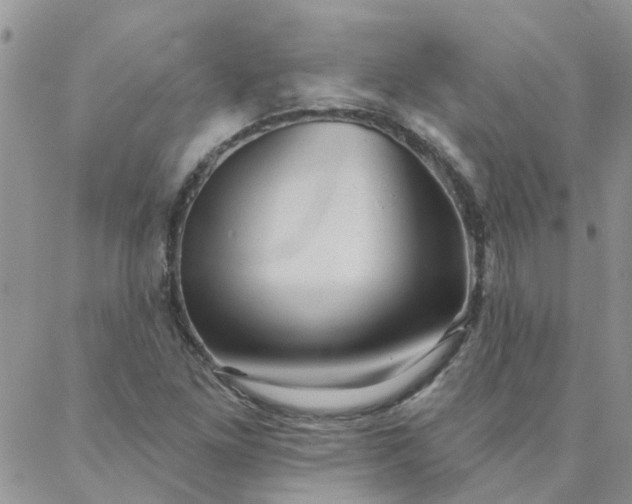 X0000088021261200705181951