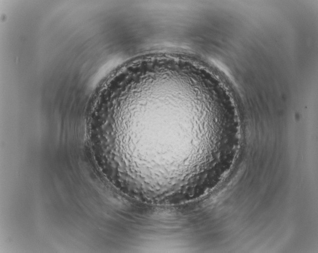 X0000088021267200705181951