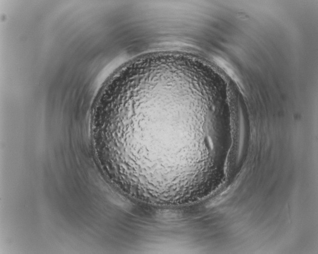 X0000088021275200705181951