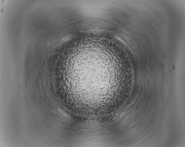 X0000088021297200705181950