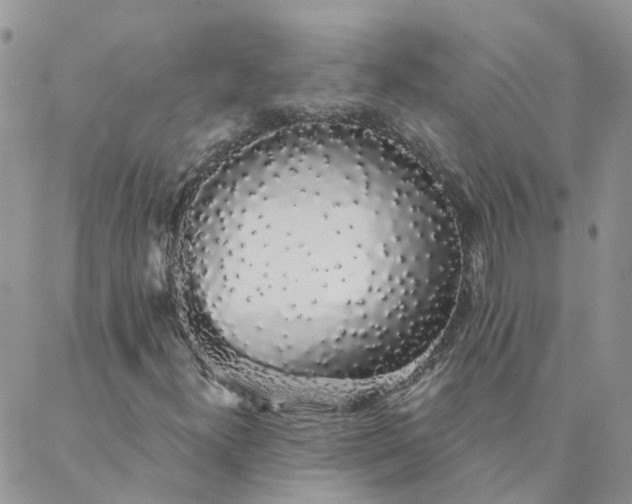 X0000088021300200705181950