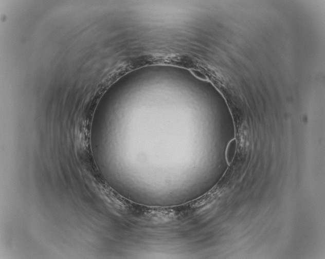 X0000088021346200705181950