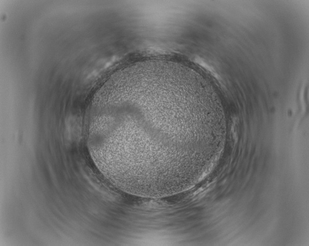 X0000088021348200705181950