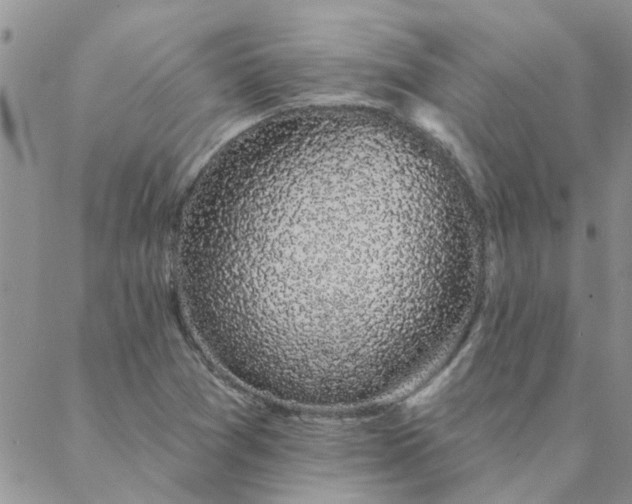 X0000088021361200705181950