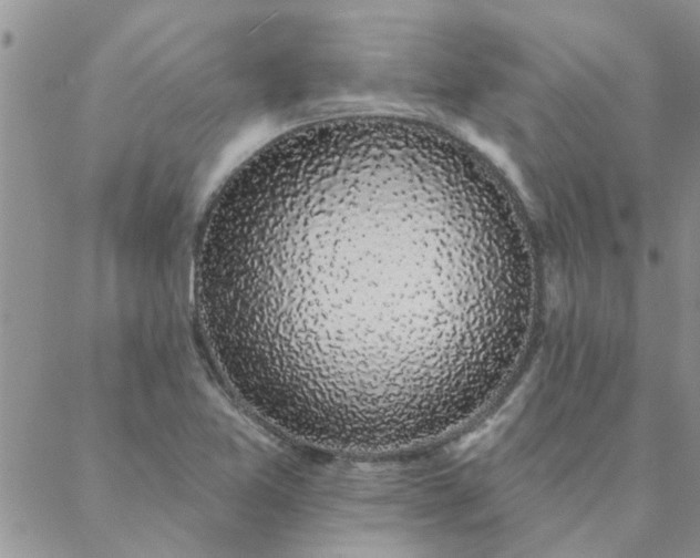 X0000088021365200705181950