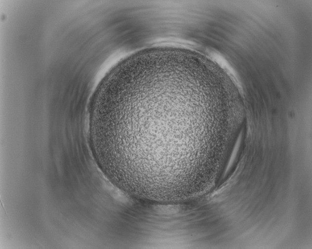 X0000088021376200705181949