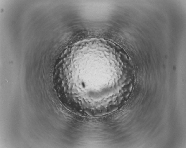 X0000088021393200705181948