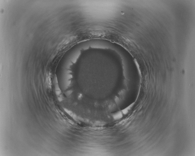 X0000088021394200705181948