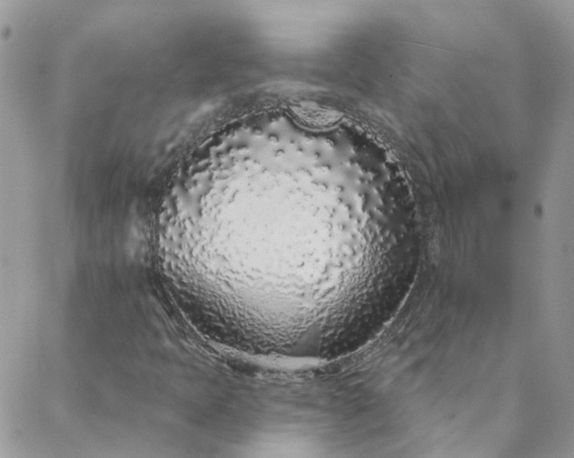 X0000088021397200705181948