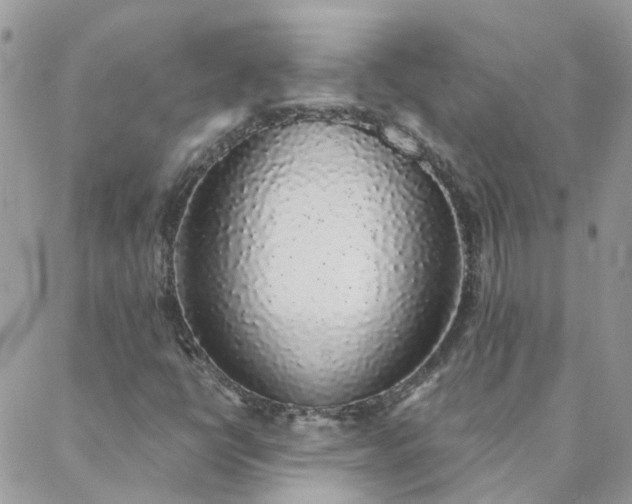 X0000088021398200705181949