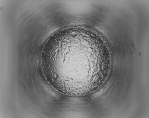X0000088021401200705181949