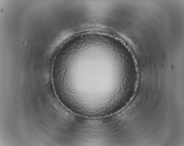 X0000088021407200705181949