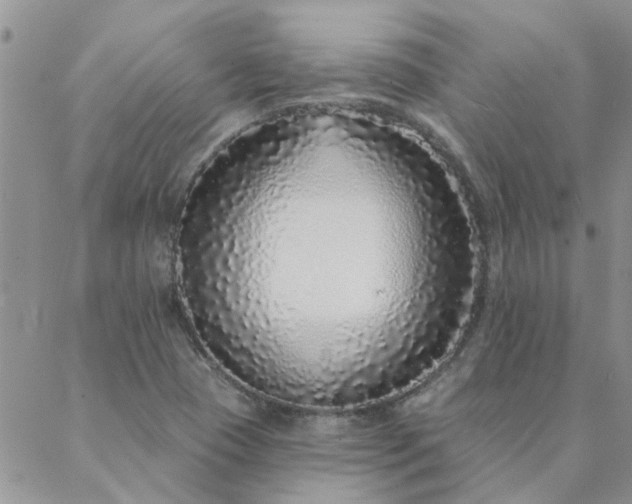 X0000088021409200705181949