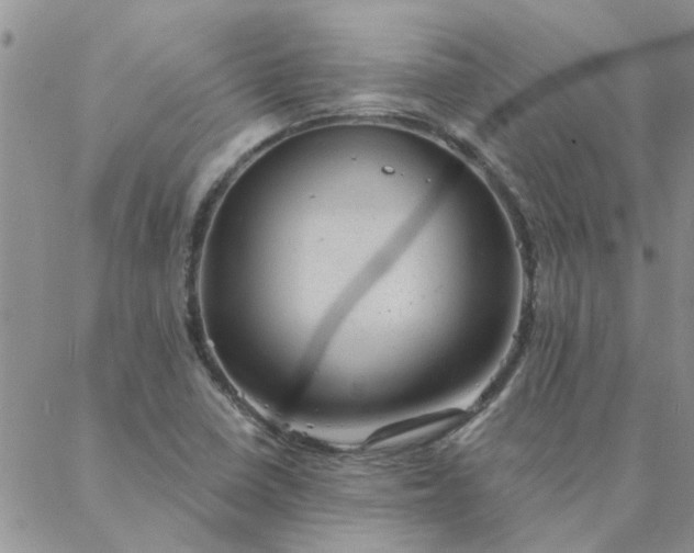 X0000088021410200705181949