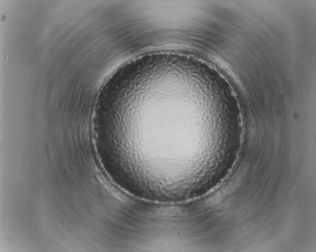 X0000088021417200705181949