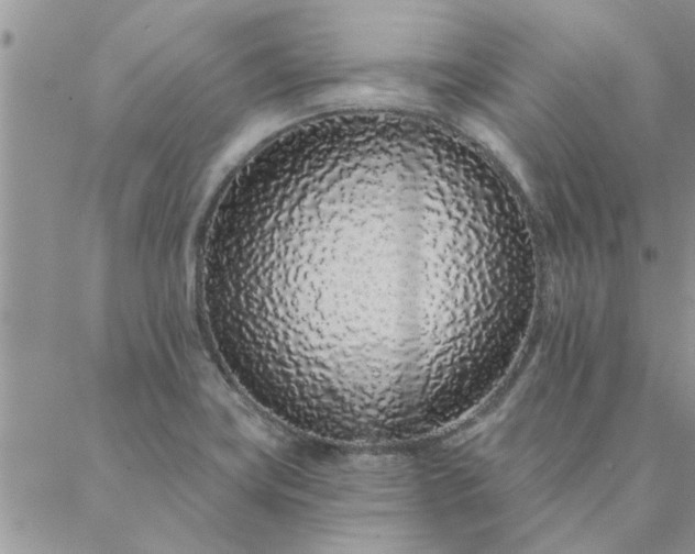 X0000088021419200705181949