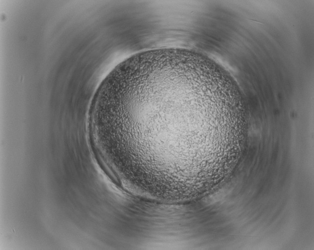 X0000088021423200705181949