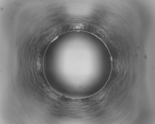 X0000088021442200705181948