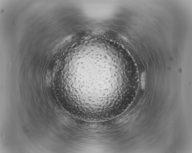 X0000088021443200705181948