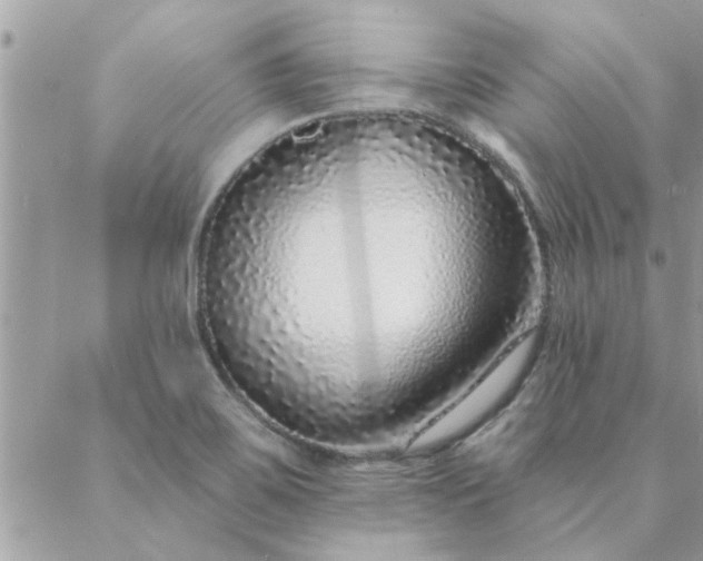 X0000088021467200705181948