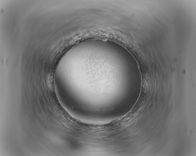 X0000088021490200705181947