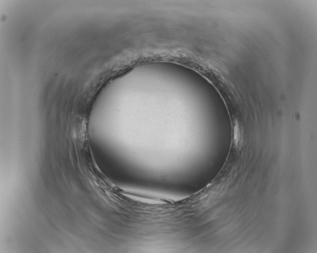 X0000088021492200705181947
