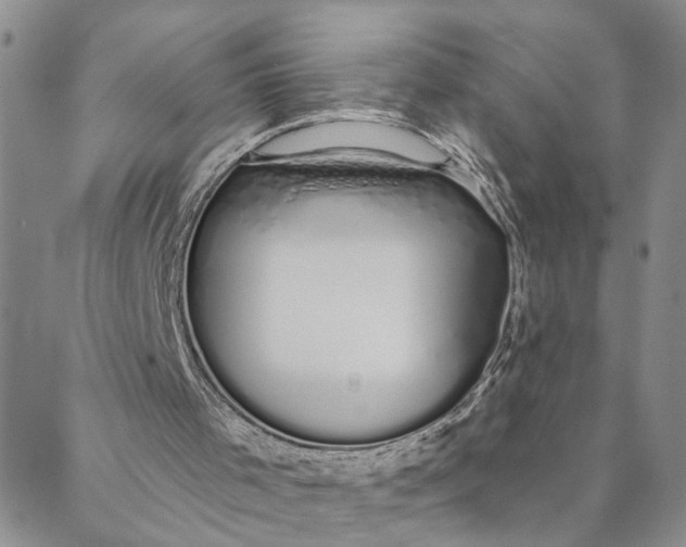 X0000088020001200705251103