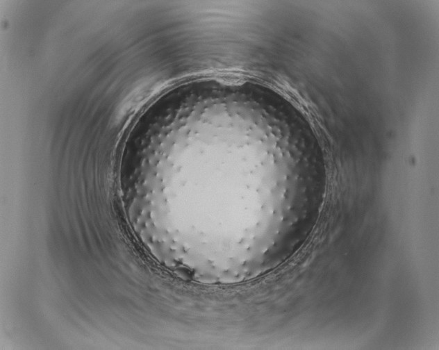 X0000088020002200705251103