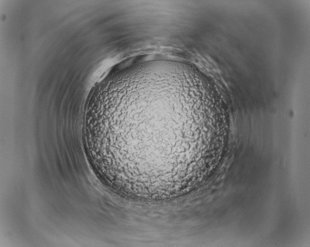 X0000088020003200705251103