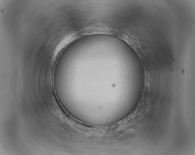 X0000088020004200705251103