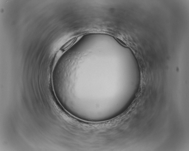 X0000088020005200705251103