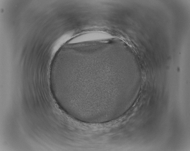 X0000088020006200705251103