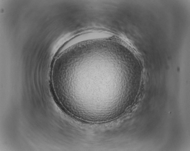 X0000088020007200705251103