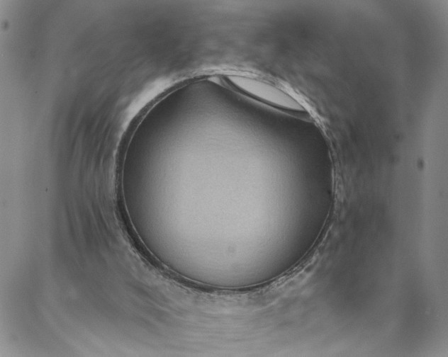 X0000088020008200705251103