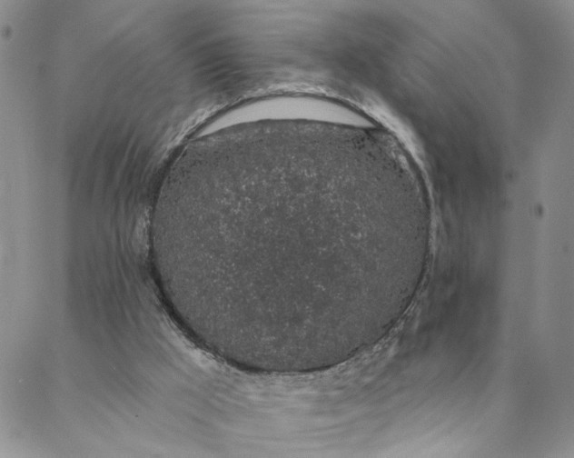 X0000088020009200705251103