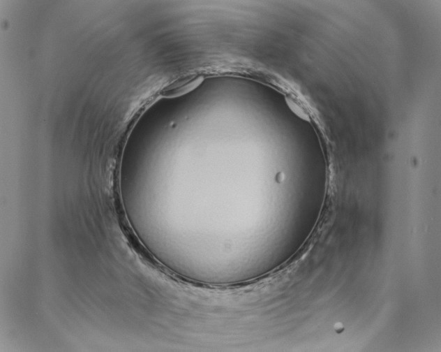 X0000088020010200705251103