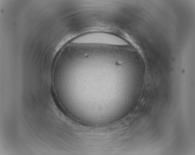 X0000088020011200705251103