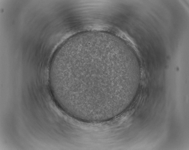 X0000088020012200705251103