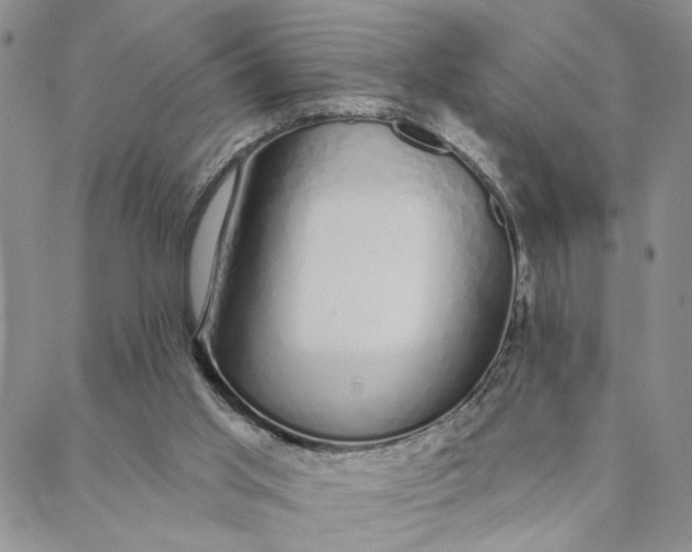 X0000088020013200705251103