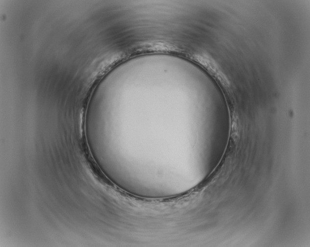 X0000088020014200705251103