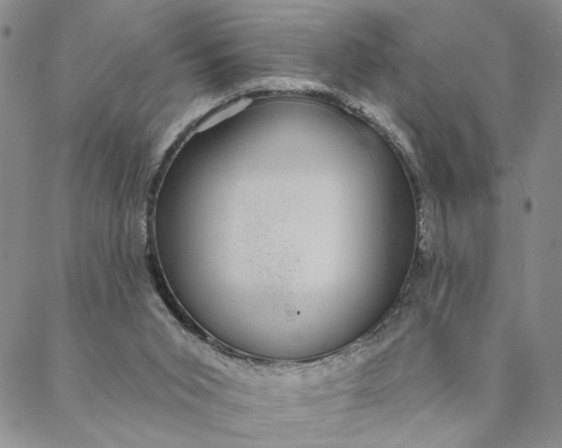 X0000088020015200705251103