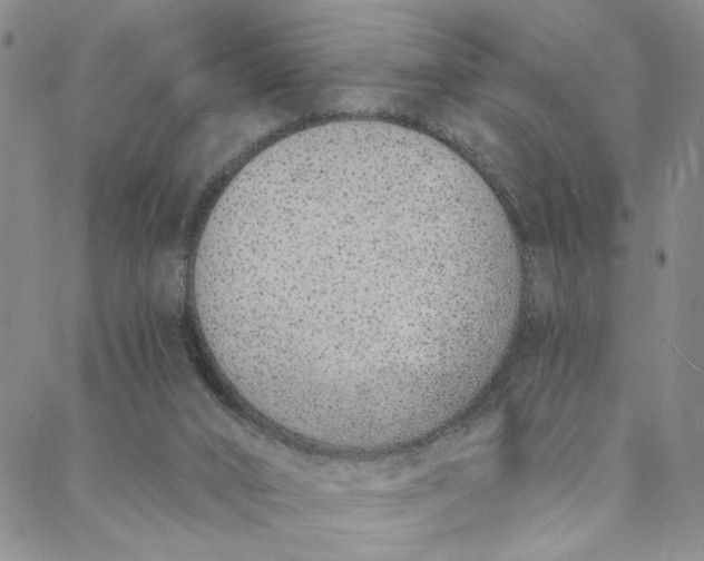 X0000088020016200705251103