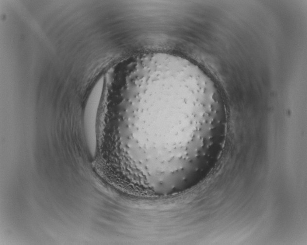 X0000088020017200705251103