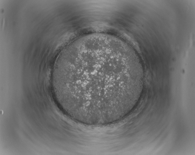 X0000088020018200705251103