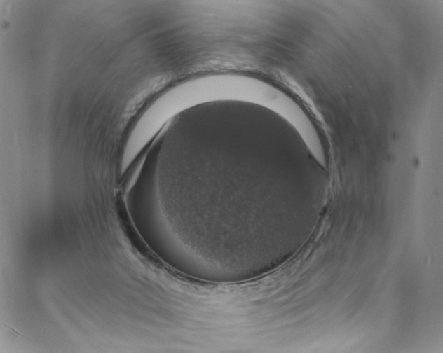 X0000088020019200705251103