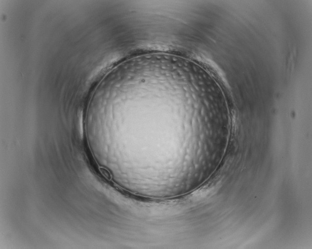 X0000088020020200705251103