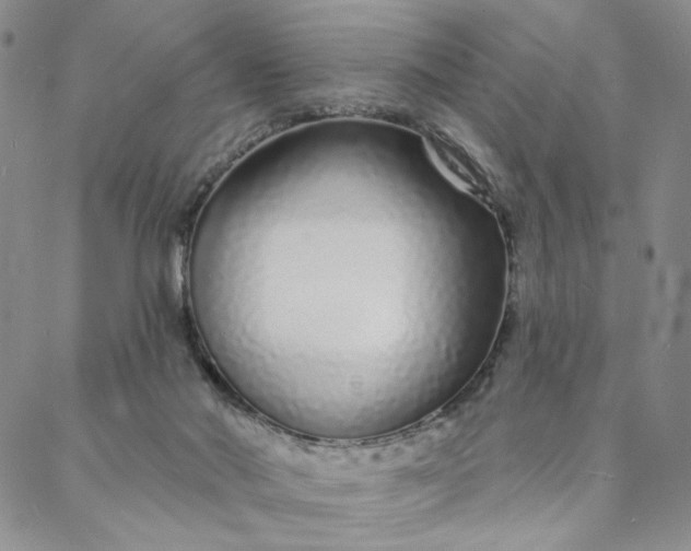 X0000088020022200705251103