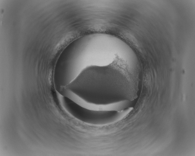 X0000088020023200705251103