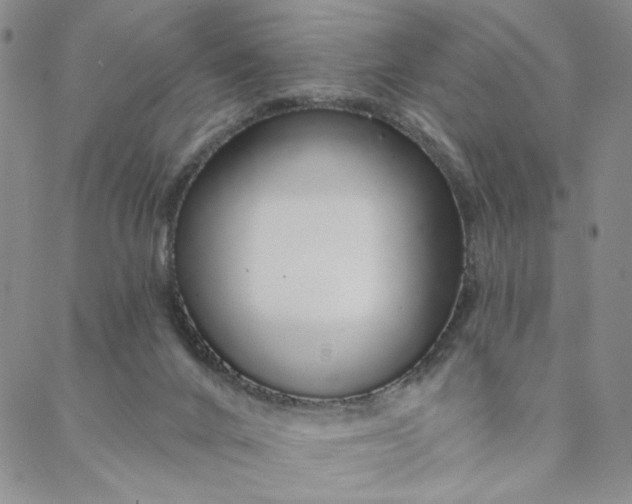 X0000088020024200705251103