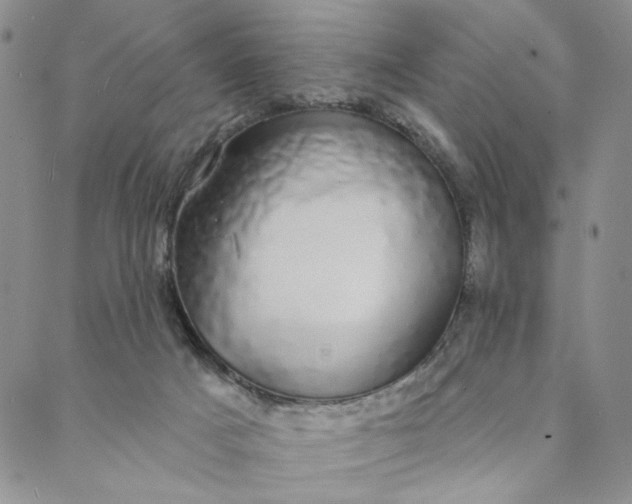 X0000088020025200705251103